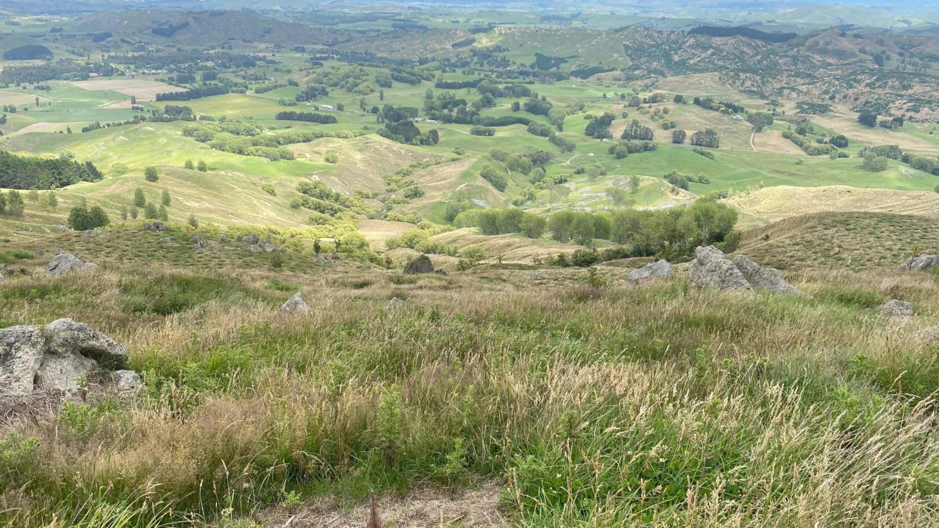 Makara Catchment Group 