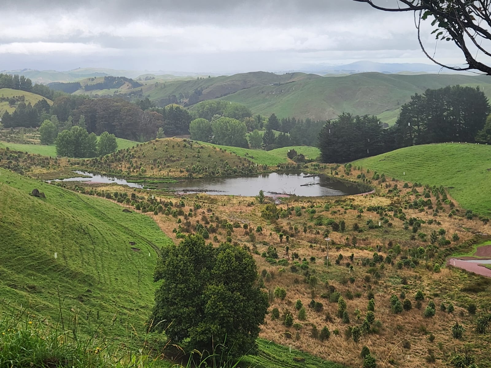 Ahuriri Tributaries Catchment Group Trust 