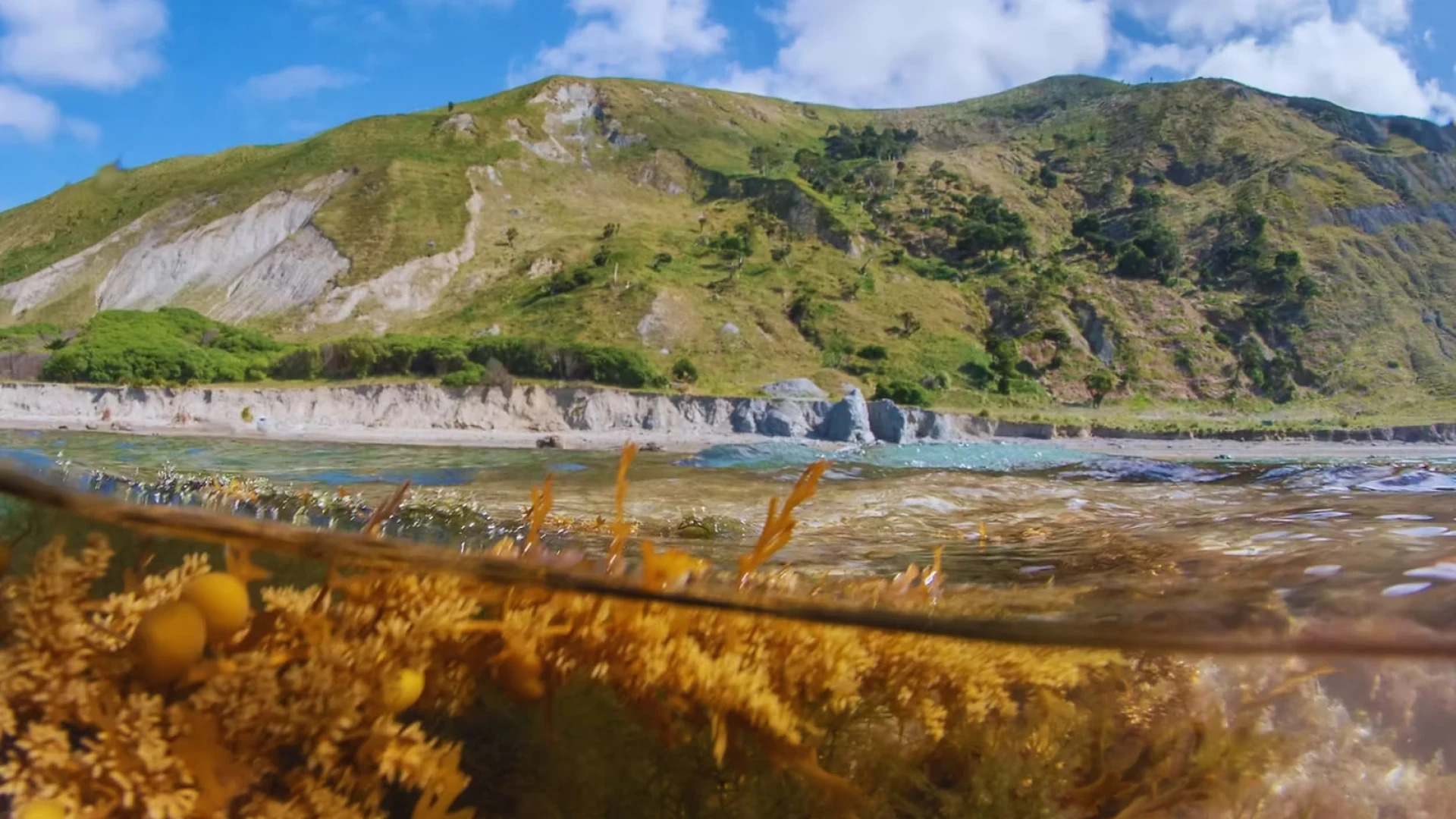 Mountains to Sea backs grassroots environmental solutions through Catchment Showcase